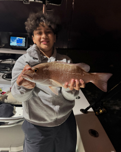 Snapper Hooked on Key Biscayne fishing! 